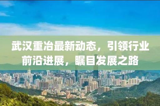武汉重冶最新动态，引领行业前沿进展，瞩目发展之路