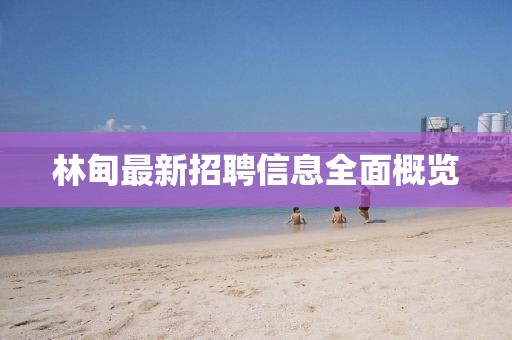 林甸最新招聘信息全面概览
