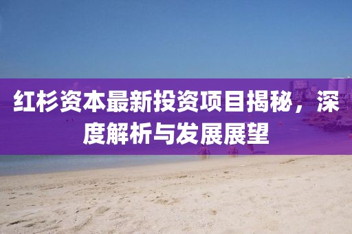 红杉资本最新投资项目揭秘，深度解析与发展展望