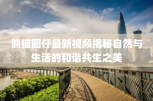 熊猫圆仔最新视频揭秘自然与生活的和谐共生之美