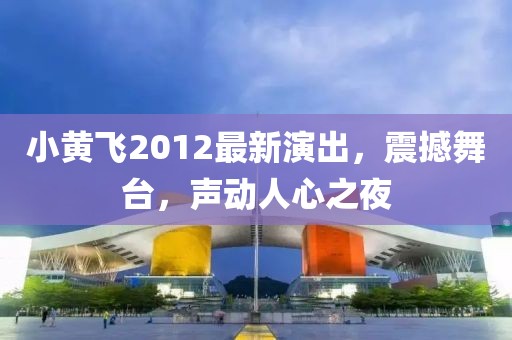 小黄飞2012最新演出，震撼舞台，声动人心之夜