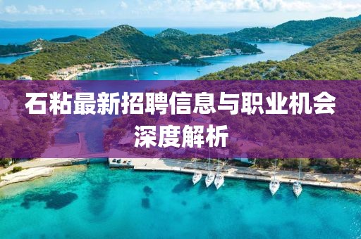 石粘最新招聘信息与职业机会深度解析