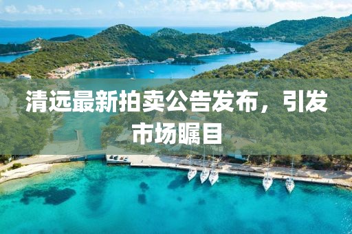 清远最新拍卖公告发布，引发市场瞩目