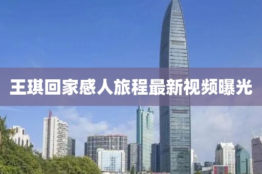 王琪回家感人旅程最新视频曝光