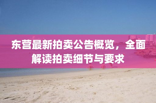 东营最新拍卖公告概览，全面解读拍卖细节与要求