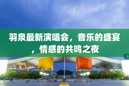 羽泉最新演唱会，音乐的盛宴，情感的共鸣之夜