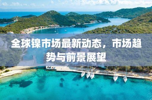 全球镍市场最新动态，市场趋势与前景展望