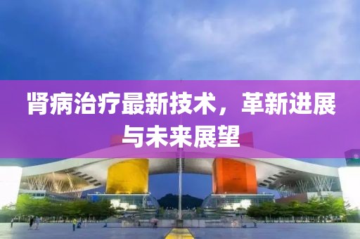 肾病治疗最新技术，革新进展与未来展望