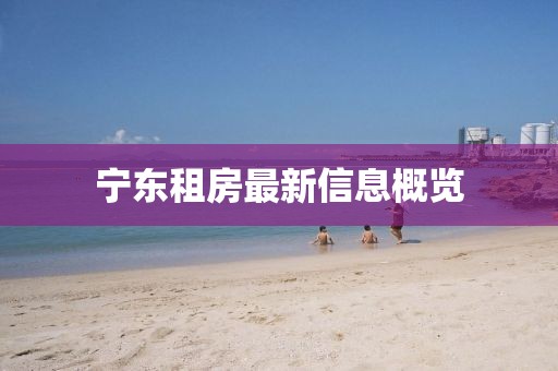宁东租房最新信息概览