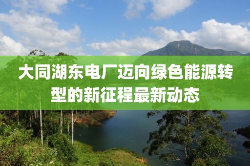 大同湖东电厂迈向绿色能源转型的新征程最新动态