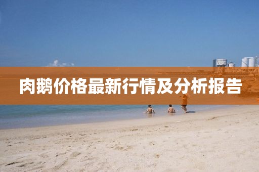 肉鹅价格最新行情及分析报告