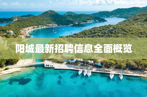 阳城最新招聘信息全面概览