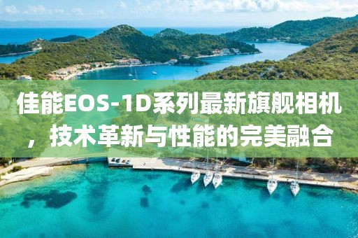 佳能EOS-1D系列最新旗舰相机，技术革新与性能的完美融合