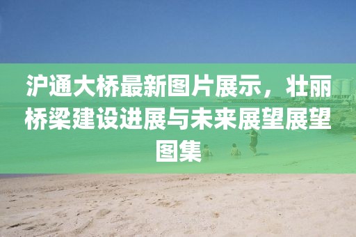 沪通大桥最新图片展示，壮丽桥梁建设进展与未来展望展望图集