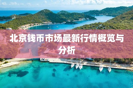 北京钱币市场最新行情概览与分析