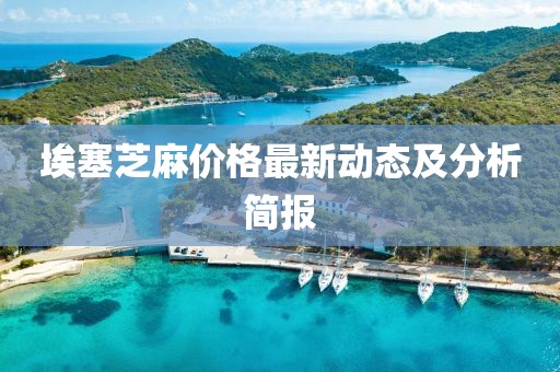 2025年2月 第385页