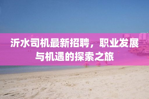 沂水司机最新招聘，职业发展与机遇的探索之旅