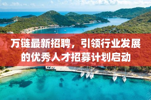 万链最新招聘，引领行业发展的优秀人才招募计划启动