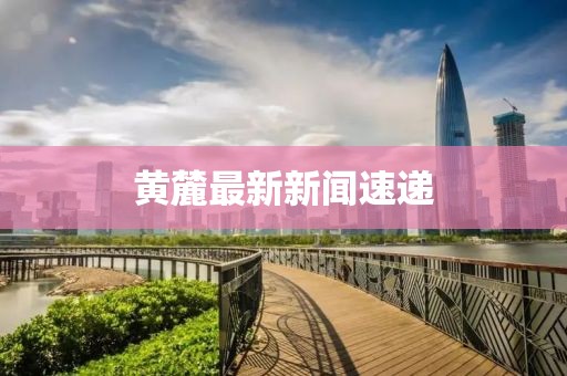 黄麓最新新闻速递