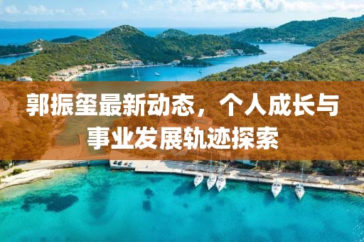 郭振玺最新动态，个人成长与事业发展轨迹探索