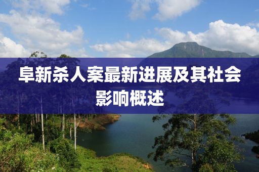 阜新杀人案最新进展及其社会影响概述