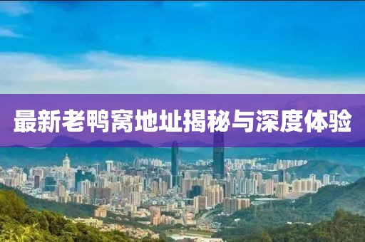 最新老鸭窝地址揭秘与深度体验