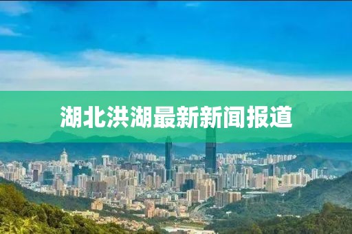 湖北洪湖最新新闻报道