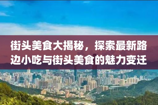 街头美食大揭秘，探索最新路边小吃与街头美食的魅力变迁