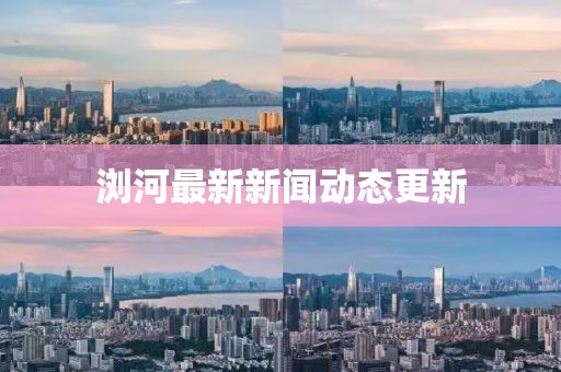 浏河最新新闻动态更新