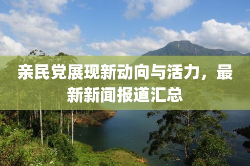 亲民党展现新动向与活力，最新新闻报道汇总