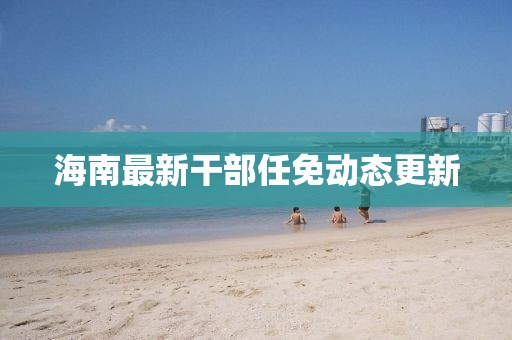 海南最新干部任免动态更新