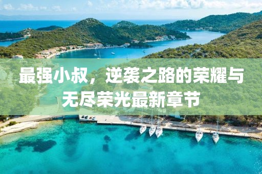 最强小叔，逆袭之路的荣耀与无尽荣光最新章节