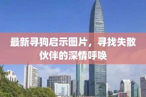 最新寻狗启示图片，寻找失散伙伴的深情呼唤