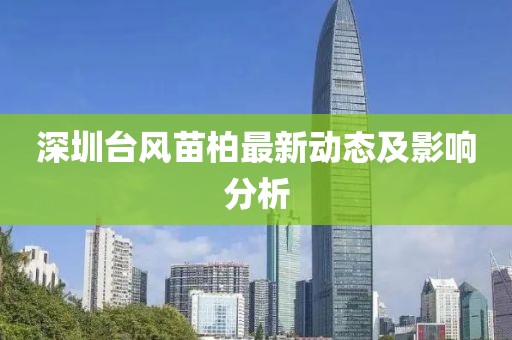 深圳台风苗柏最新动态及影响分析