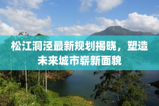 松江洞泾最新规划揭晓，塑造未来城市崭新面貌