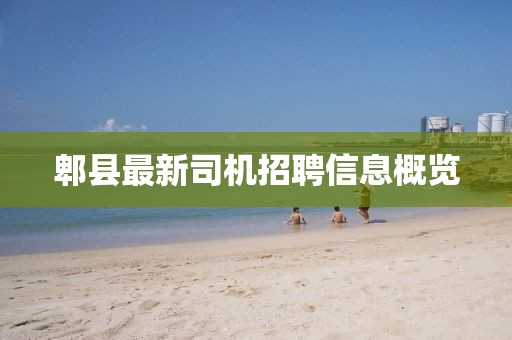 郫县最新司机招聘信息概览