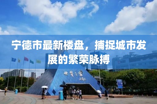 宁德市最新楼盘，捕捉城市发展的繁荣脉搏