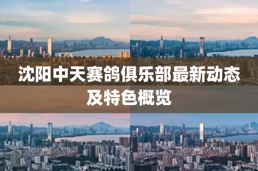 沈阳中天赛鸽俱乐部最新动态及特色概览