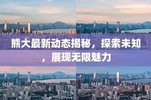 熊大最新动态揭秘，探索未知，展现无限魅力