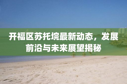 开福区苏托垸最新动态，发展前沿与未来展望揭秘