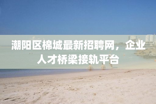 潮阳区棉城最新招聘网，企业人才桥梁接轨平台