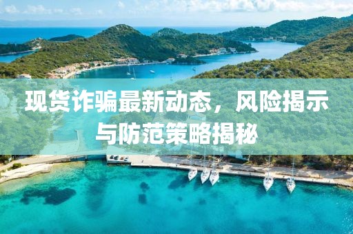 现货诈骗最新动态，风险揭示与防范策略揭秘
