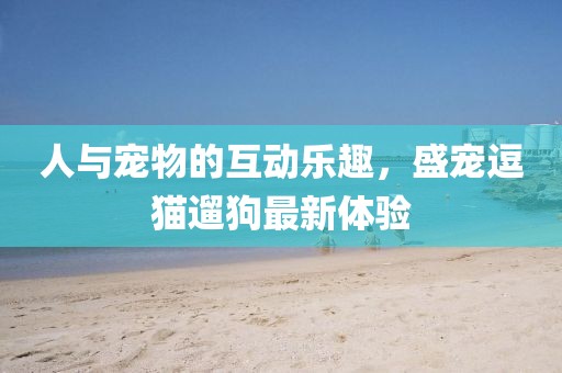 人与宠物的互动乐趣，盛宠逗猫遛狗最新体验