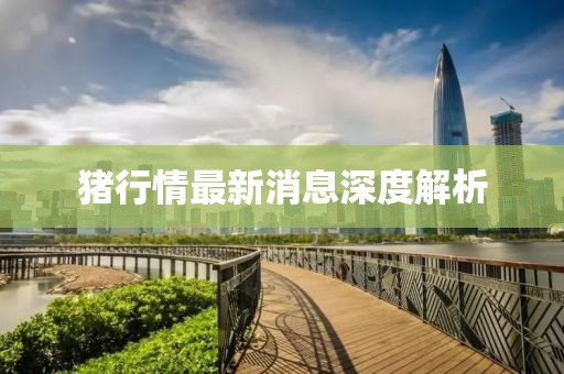 浅时光 第12页