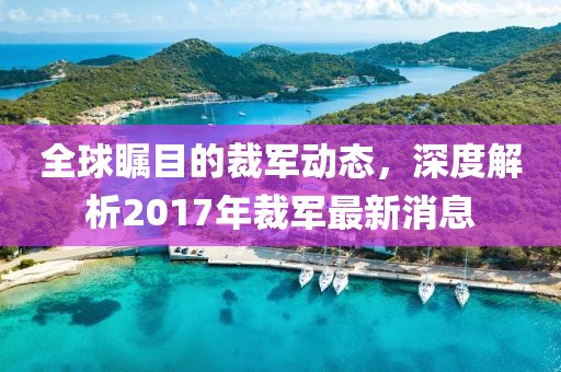 全球瞩目的裁军动态，深度解析2017年裁军最新消息