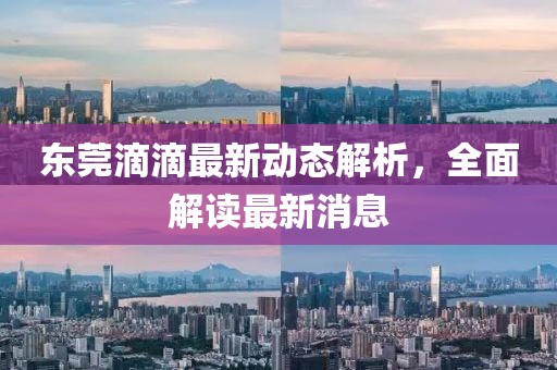 东莞滴滴最新动态解析，全面解读最新消息