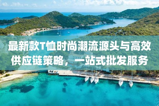最新款T恤时尚潮流源头与高效供应链策略，一站式批发服务