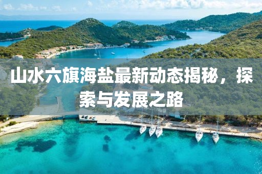 山水六旗海盐最新动态揭秘，探索与发展之路