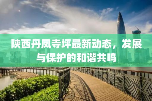 陕西丹凤寺坪最新动态，发展与保护的和谐共鸣