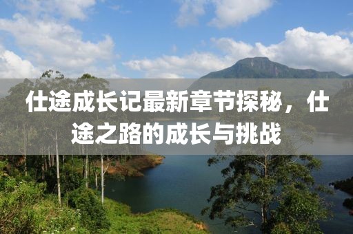 仕途成长记最新章节探秘，仕途之路的成长与挑战
